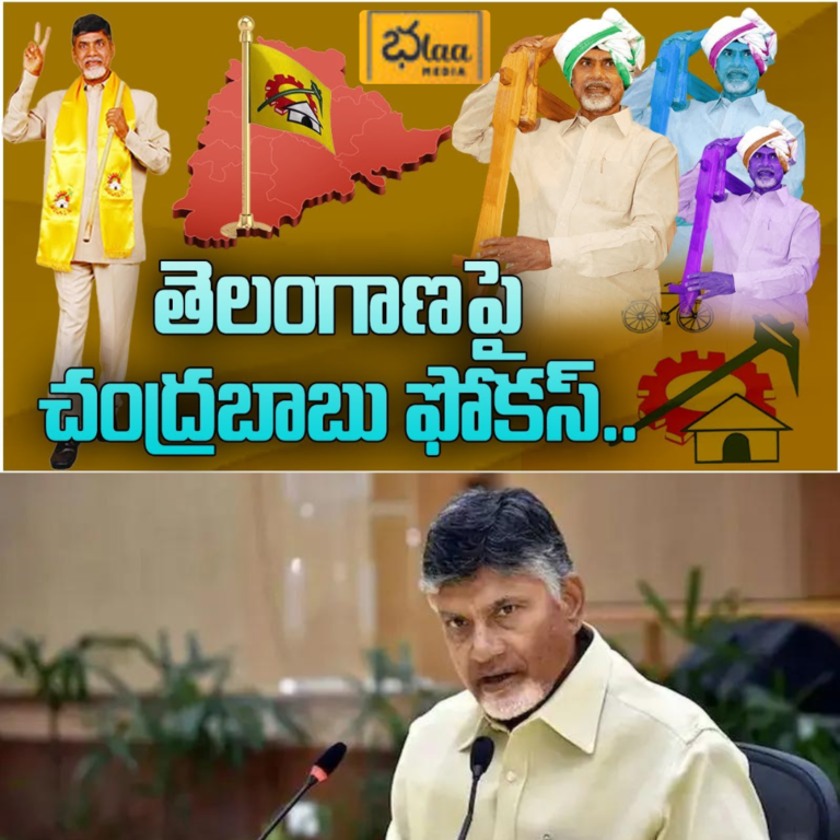 తెలంగాణపై చంద్రబాబు ఫోకస్
