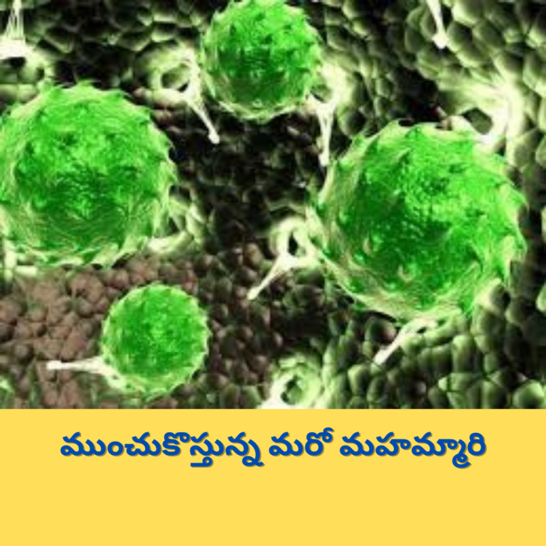 సూపర్ బగ్ బ్యాక్టీరియా.. ముంచుకొస్తున్న మరో మహమ్మారి