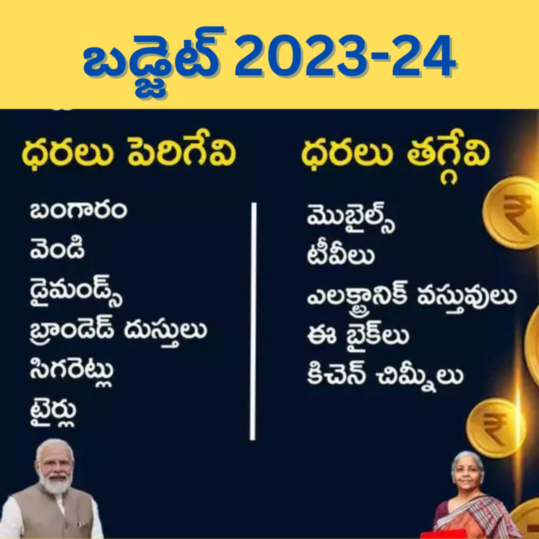 ధరలు పెరిగేవి ఏవి.. తగ్గేవి ఏవి
