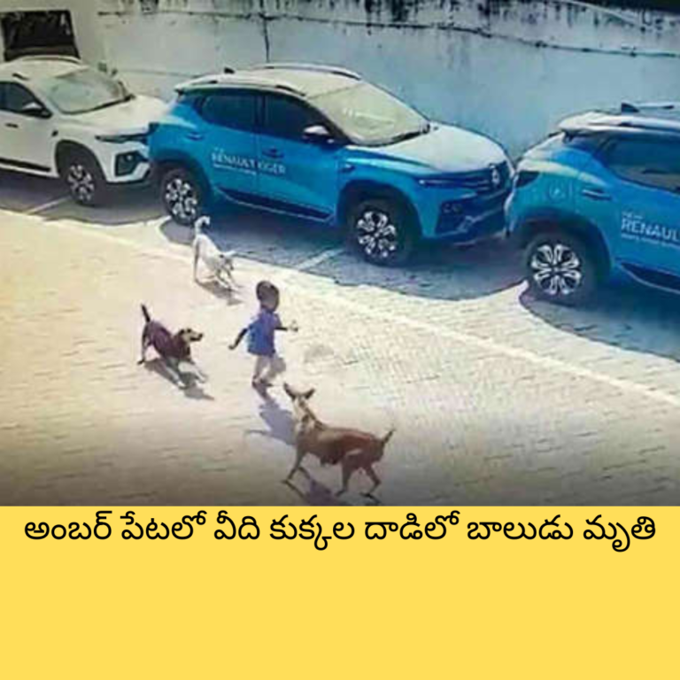 మీ ఏరియాలో కుక్కలున్నాయా.. ఈ గైడ్ లైన్స్ మీకోసమే
