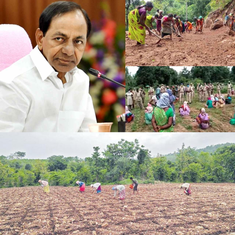 పోడు భూముల పంపిణీకి సిద్ధమైన తెలంగాణ సర్కార్