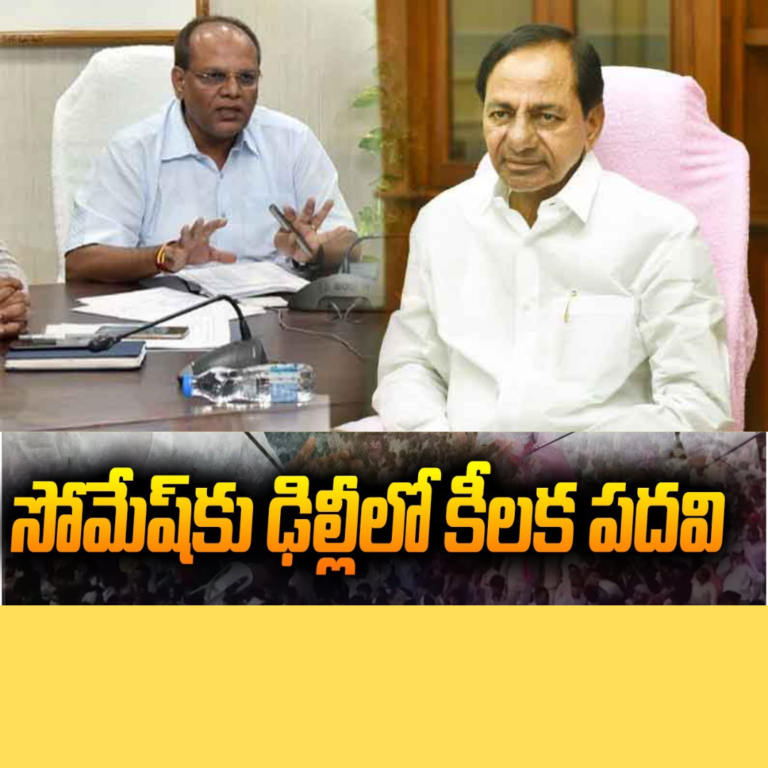 సోమేష్ కుమార్ కు ఢిల్లీ బీఆర్ఎస్ లో కీలక పదవి
