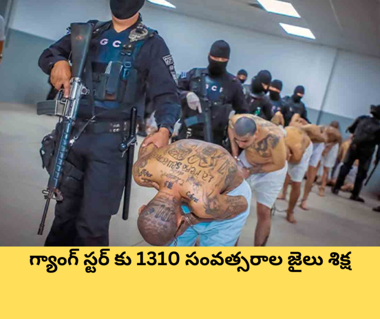 టాక్ ఆఫ్ ది వరల్డ్ : గ్యాంగ్ స్టర్ కు 1310 సంవత్సరాల జైలు శిక్ష