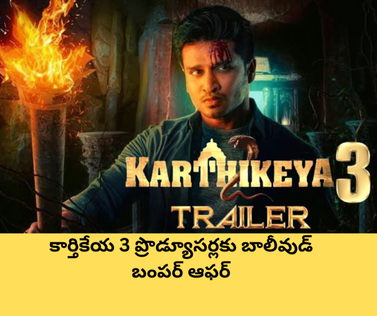 కార్తికేయ 3 ప్రొడ్యూసర్లకు బాలీవుడ్ బంపర్ ఆఫర్