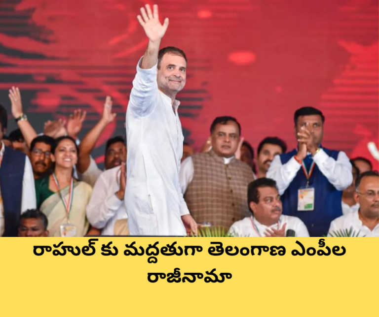 రాహుల్ కు మద్దతుగా తెలంగాణ ఎంపీల రాజీనామా