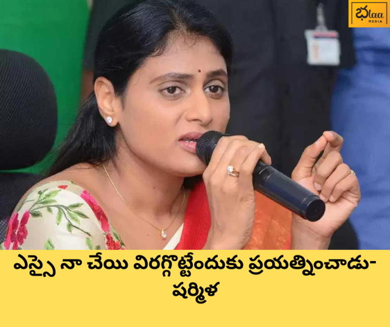 ఎస్సై నా చేయి విరగ్గొట్టేందుకు ప్రయత్నించాడు-షర్మిళ