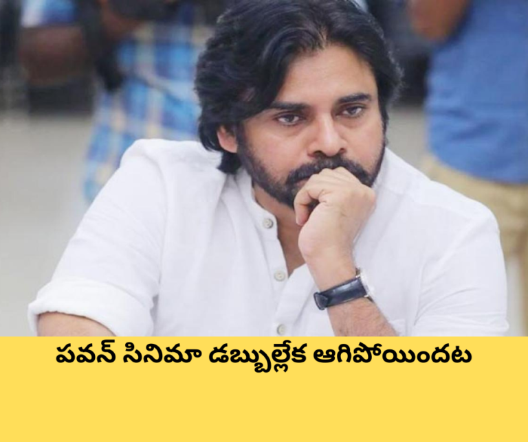 పవన్ సినిమా డబ్బుల్లేక ఆగిపోయిందట..!?