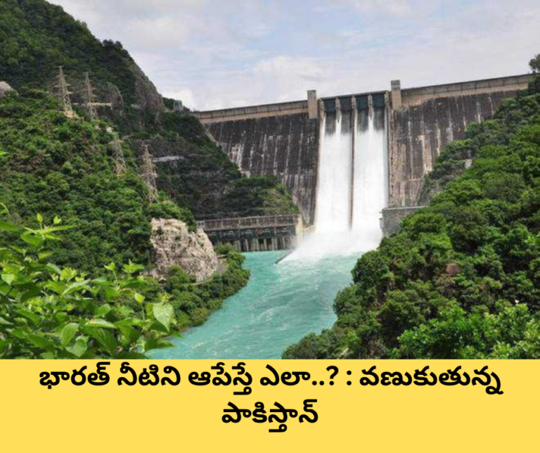 భారత్ నీటిని ఆపేస్తే ఎలా..? : వణుకుతున్న పాకిస్తాన్