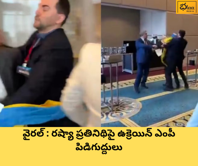 వైరల్ : రష్యా ప్రతినిథిపై ఉక్రెయిన్ ఎంపీ పిడిగుద్దులు